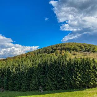 Dome Home Tents Taor Valjevo Bagian luar foto